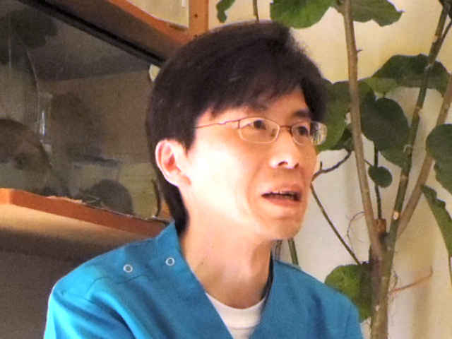 等々力の森動物病院
