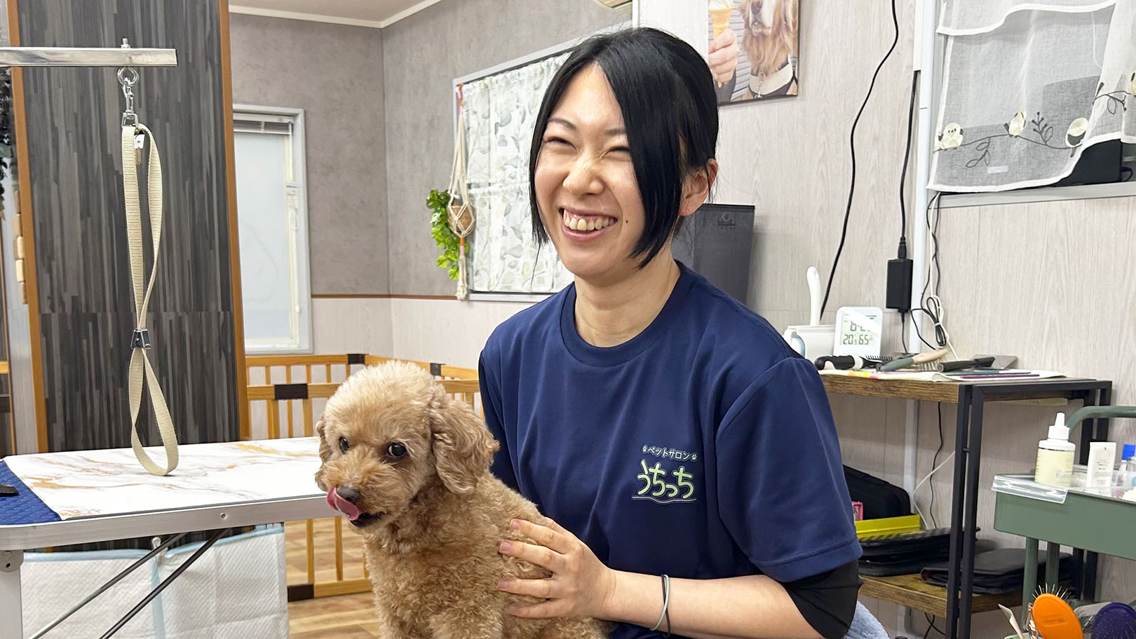 田中 さやか 代表